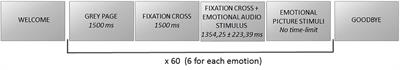 Higher Right Hemisphere Gamma Band Lateralization and Suggestion of a Sensitive Period for Vocal Auditory Emotional Stimuli Recognition in Unilateral Cochlear Implant Children: An EEG Study